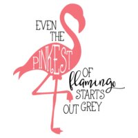 Even The Flamingo SVG